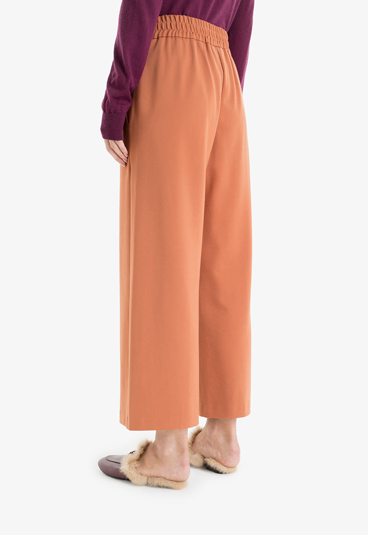 Choice Buttoned Pleated Culottes Brown